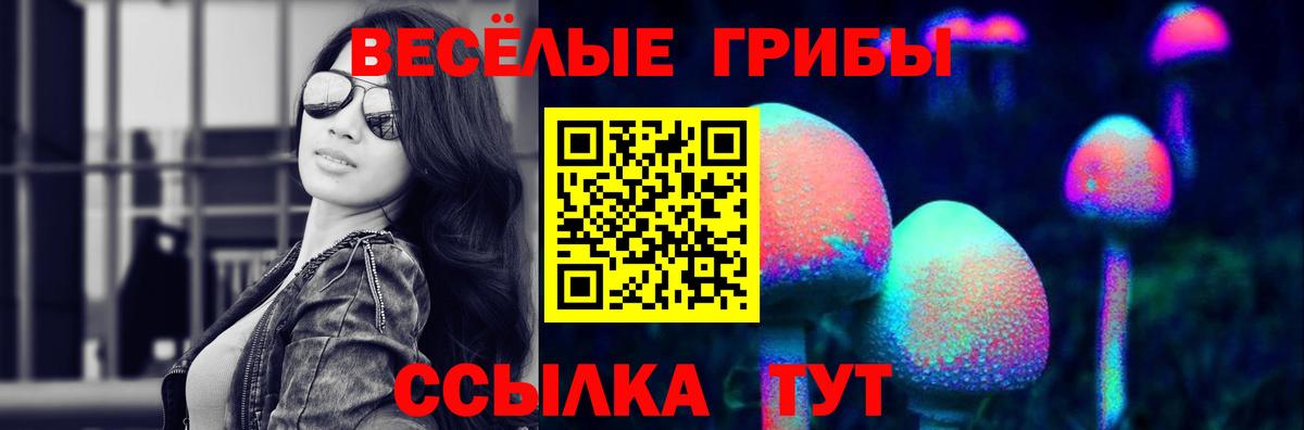 Галлюциногенные грибы GOLDEN TEACHER Конаково